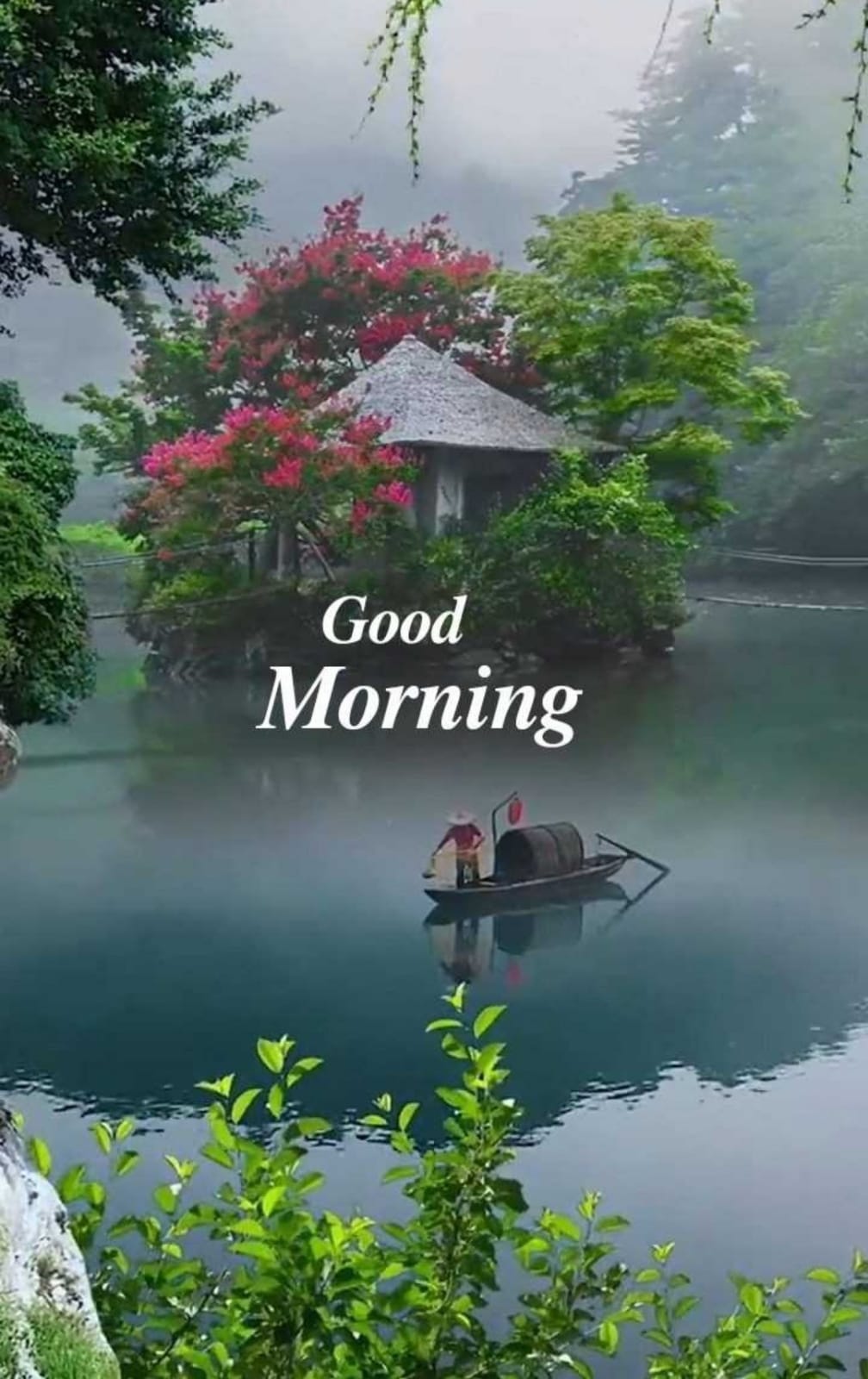 good morning    Images • ........ (@ssuinvia) on ShareChat