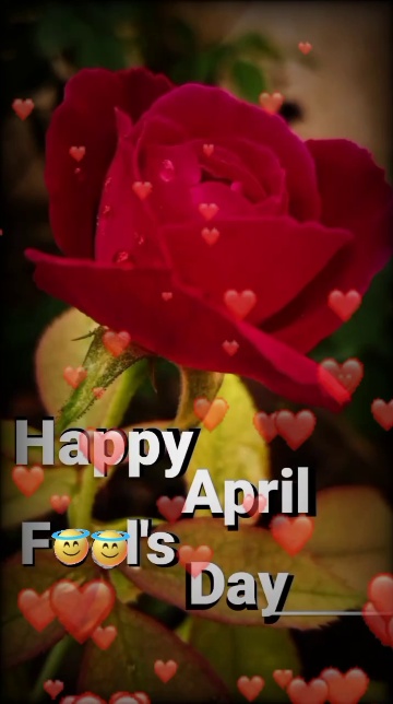 🤟April Fool Day😅 #🤟April Fool Day😅 #happy april 🌹 #Happy April full  day #happy april fool day video It's me 😊😊 - ShareChat - Funny, Romantic,  Videos, Shayari, Quotes