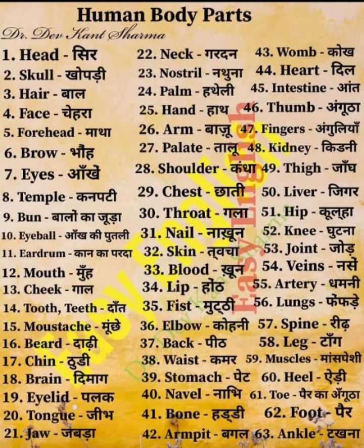 body parts name in hindi