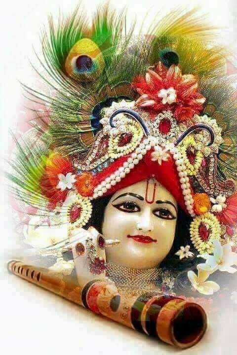 🌼Jai Shri Krishna HD wallpapers🌼🙏 Images • 🇵𝐑𝐈𝐍𝐂𝐄.👑4️⃣4️⃣5️⃣0️⃣  𝙶𝙾𝙾𝙳 𝙱𝚈𝙴 𝚂𝙲 (@234061376p) on ShareChat