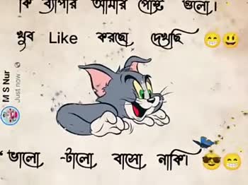 bengali funny jokes Videos • ishita(@785724003) on ShareChat