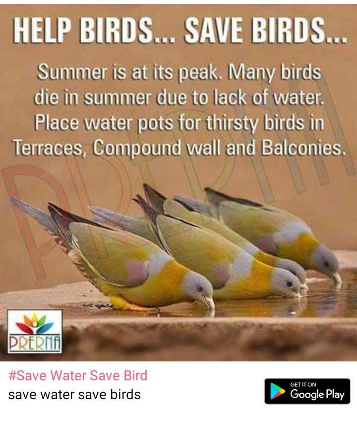Save Water Save Bird Images • Pavitra (@pavitra9861) on ShareChat