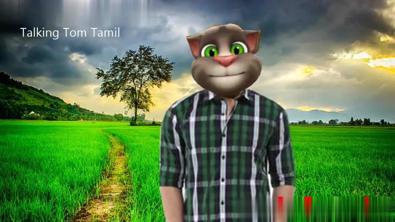 ✍ நீதி கதைகள் Videos • Talking Tom Tamil(@talking_tom_tamil_fan_page) on  ShareChat