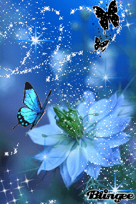 butterfly GIFs • ➳🇨🇦᭄🇷𝙆 🇬𝒖𝒓𝒅𝒂𝒔𝒑𝒖𝒓 🇦🇺  (@hjjiifbbncocodococogo) on ShareChat