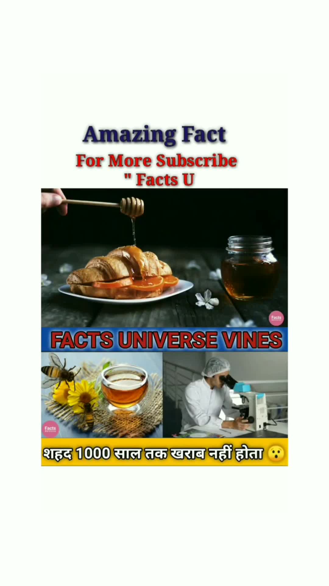 Facts universe vines on Moj