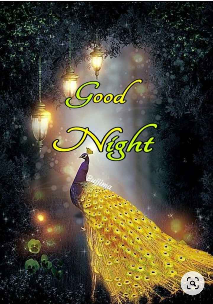good night 🌃 Images • Miss Ns (@808749882) on ShareChat