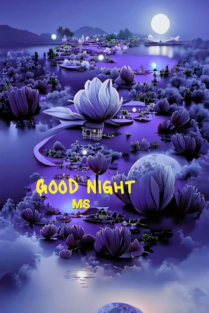 ❤️❤️ Good night ❤️❤️ Images • 🛟🎋 i love u 🎋🛟 (@209225149) on ShareChat