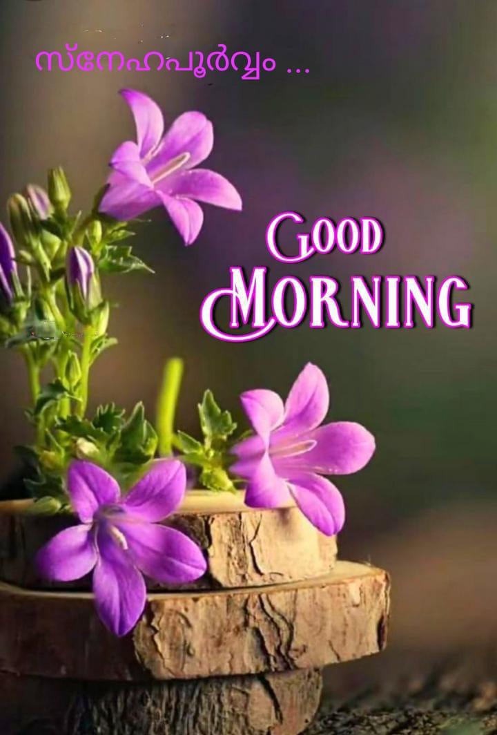 🌞Good Morning Status Images sree shiva ShareChat ഇന്ത്യയുടെ സ്വന്തം