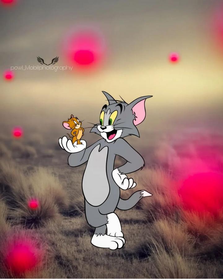 Tom & Jerry Images • ٲ𓆩〭〬Jєʀ̽⃗ʀ͎ʏ⃨⃔😻༎〭〬➤⃝ꭗ͢آآ🌈⃝⃚⃧᪳ٲ𓆩〭〬 (@dikshusen) on  ShareChat