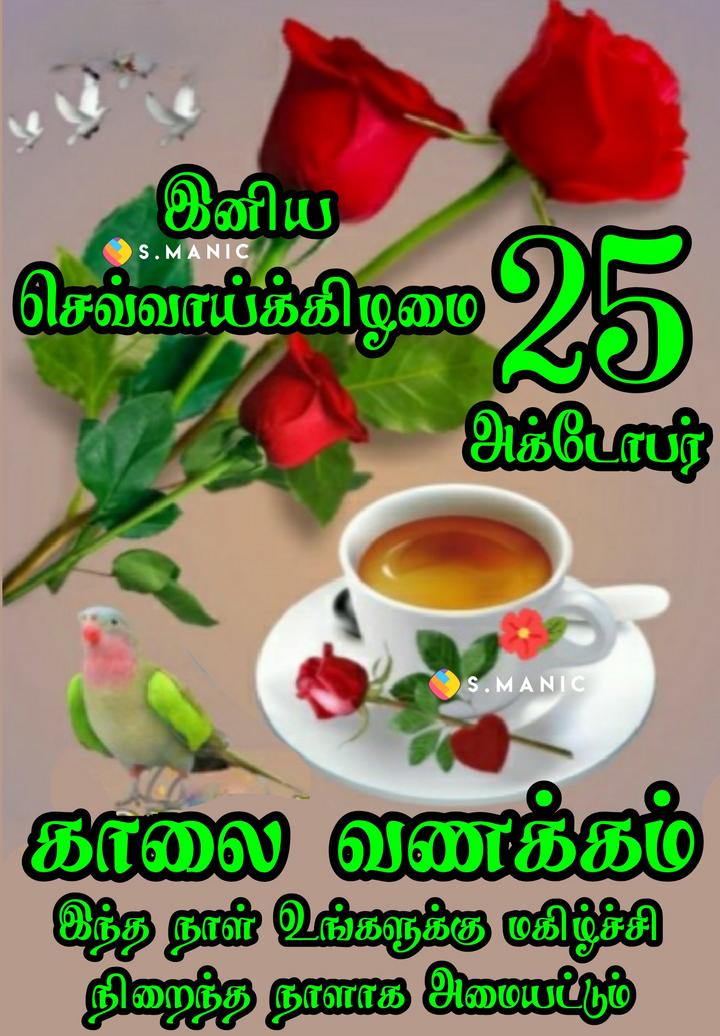 🌞காலை வணக்கம் Images 🇮🇳 🙏🌹 S.Manic 🌹🙏 🇮🇳 - ShareChat - இந்தியாவின் ...