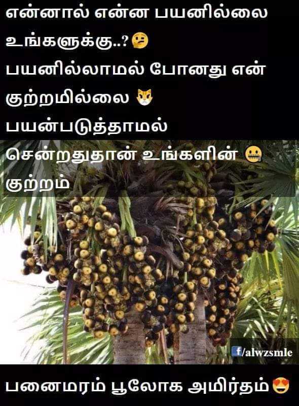 100-best-images-2022-panai-maram-whatsapp-group-facebook-group