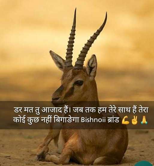 save animals Images • Golu Bishnoishivkaran (@shivkran) on ShareChat