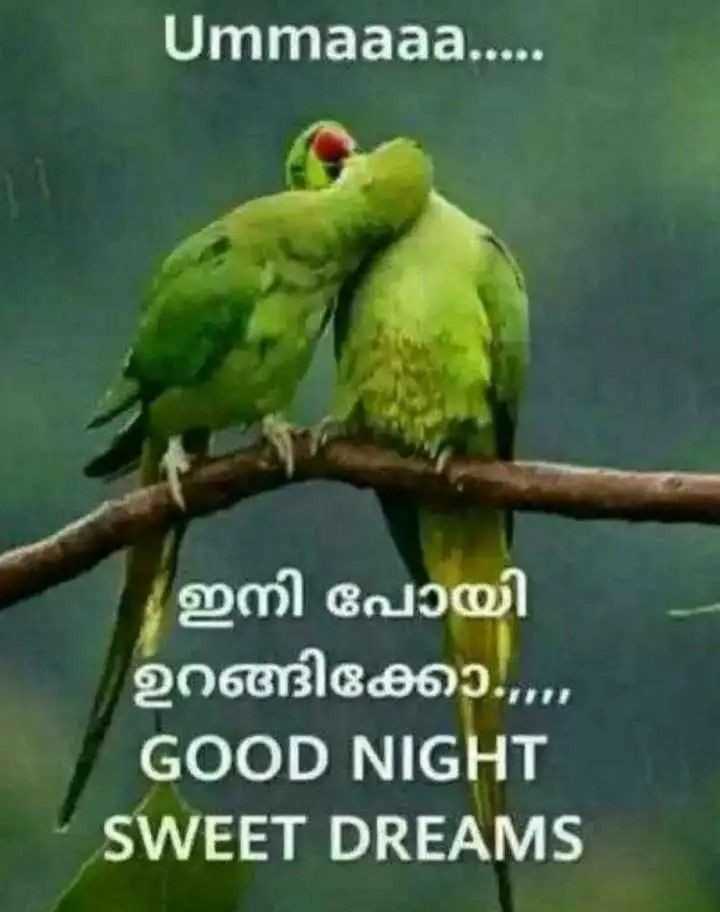 Good Night Sweet Dreams Meaning In Telugu